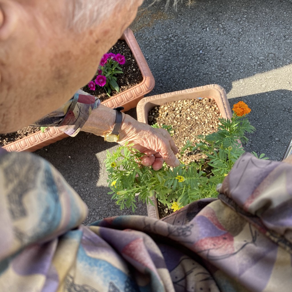 846F852A-279C-4AF5-951A-44D124379D56