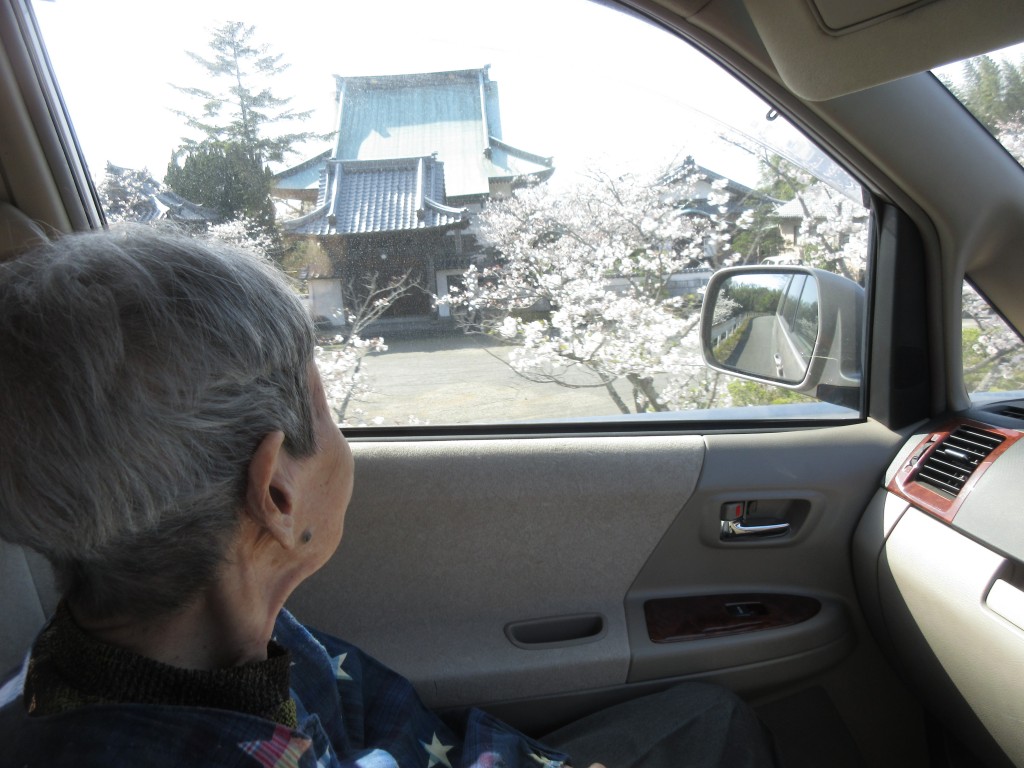 R3.4　お花見　安東様