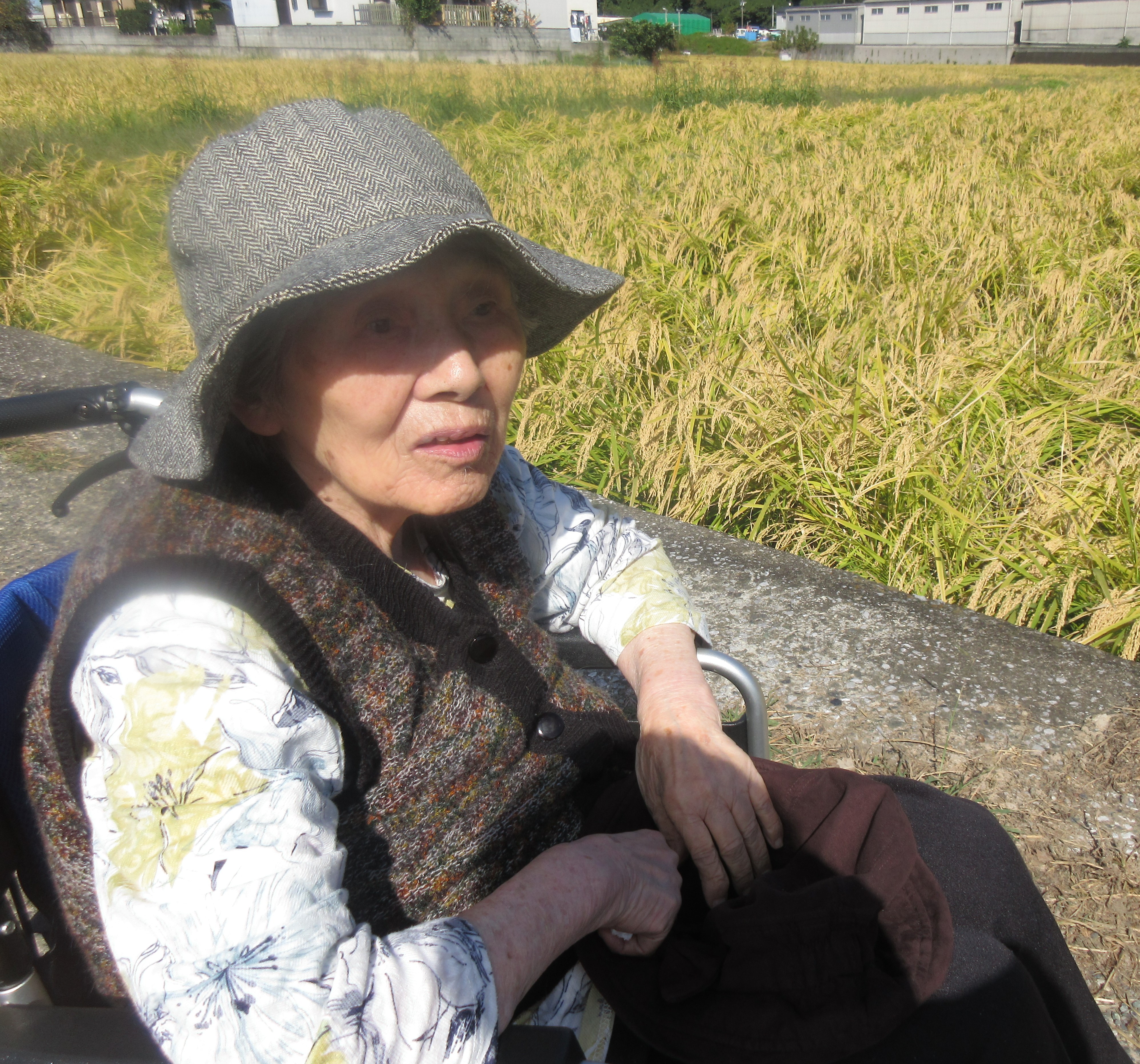 R４.１０．６稲刈り散歩　丸尾様