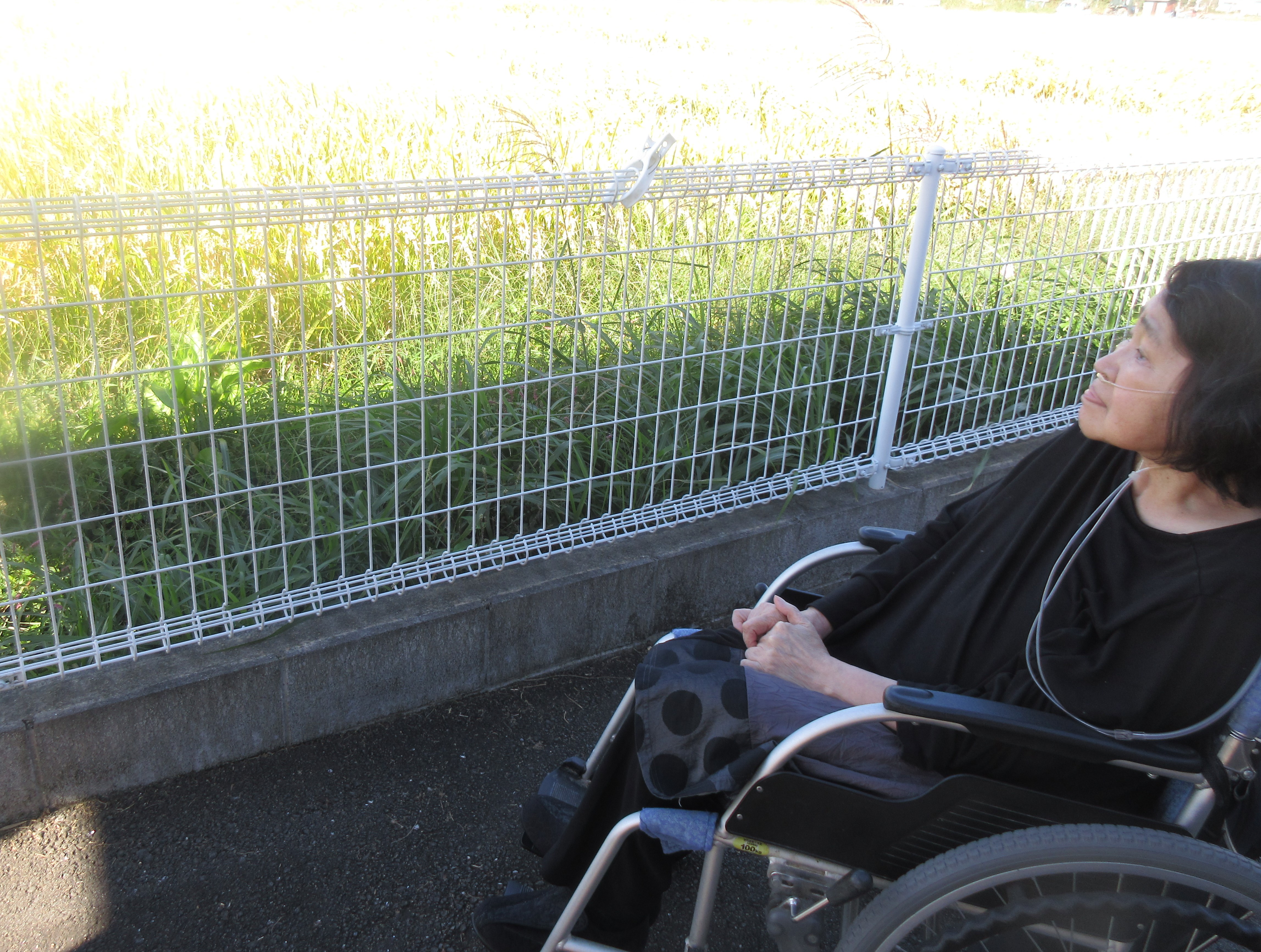 R４.１０．６稲刈り散歩　宮城様