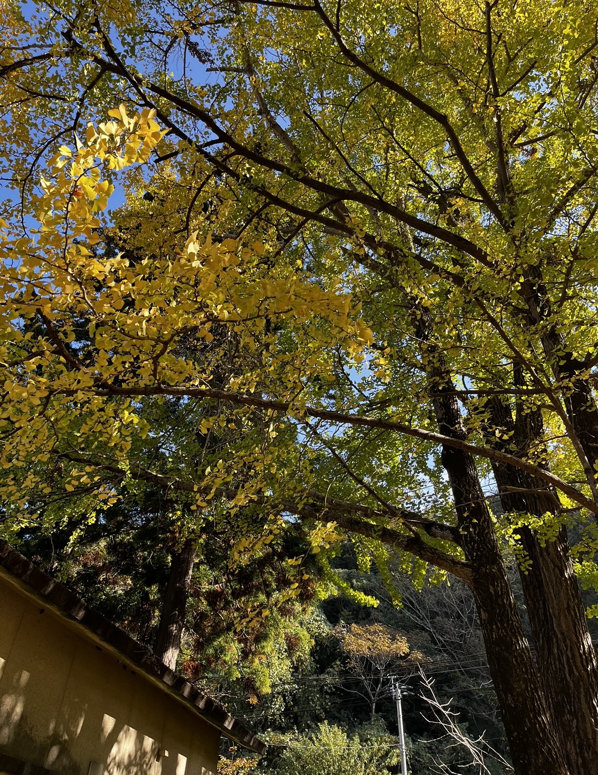 2901002F-8CFB-4CE9-A2F8-54A9B59CE5D2