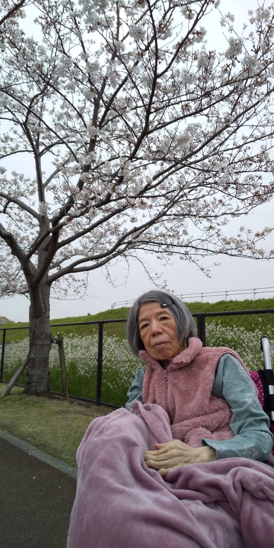 IMG_2464 - コピー