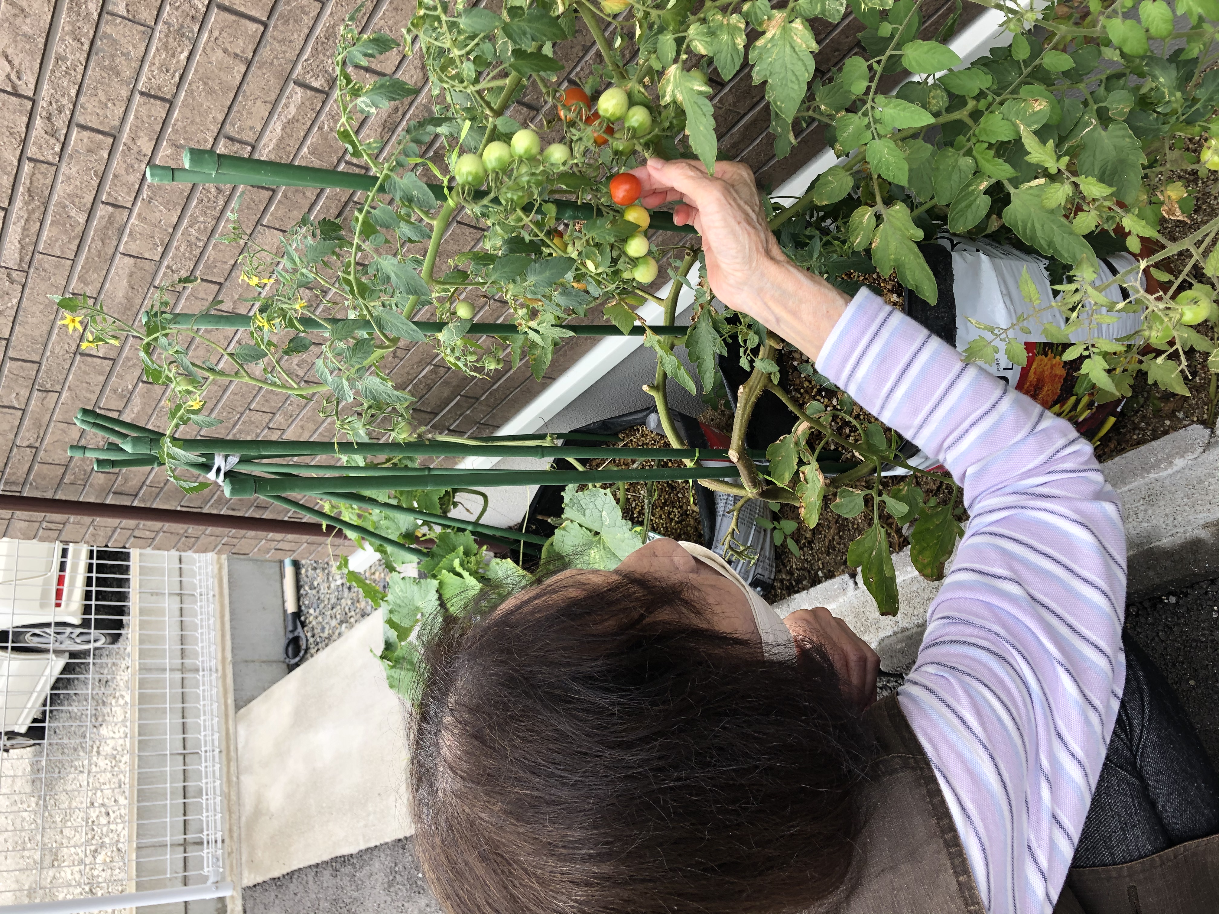 D7CC9360-E552-4C72-B214-13E42CDC7523