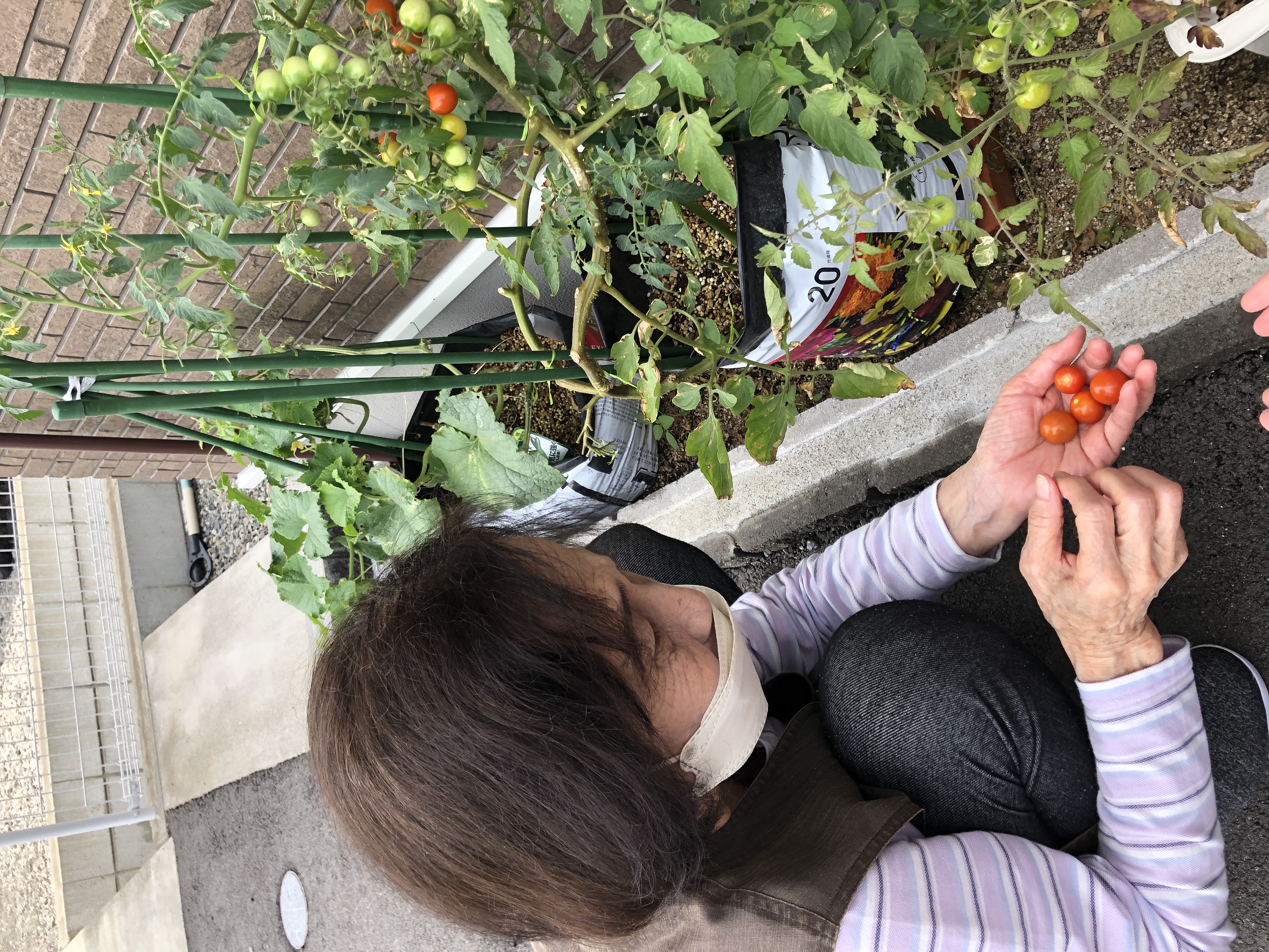 DC9D5B5D-3ECB-4B1F-B66A-A897F4917813