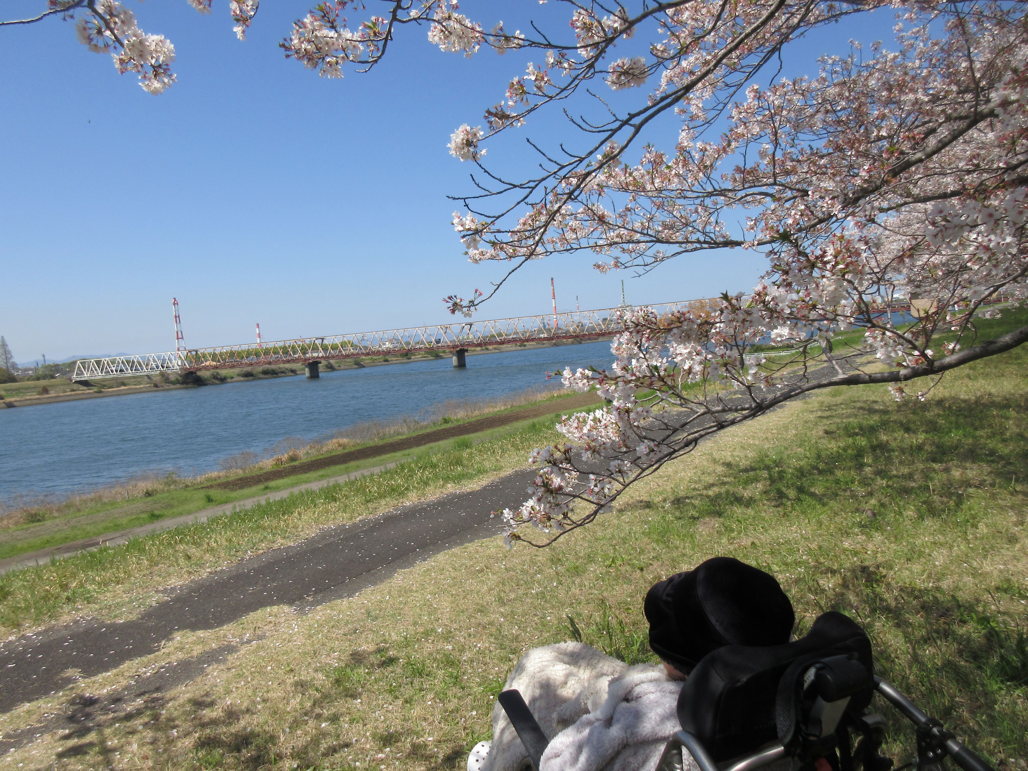 R8.4.8大野川河川敷宮城様