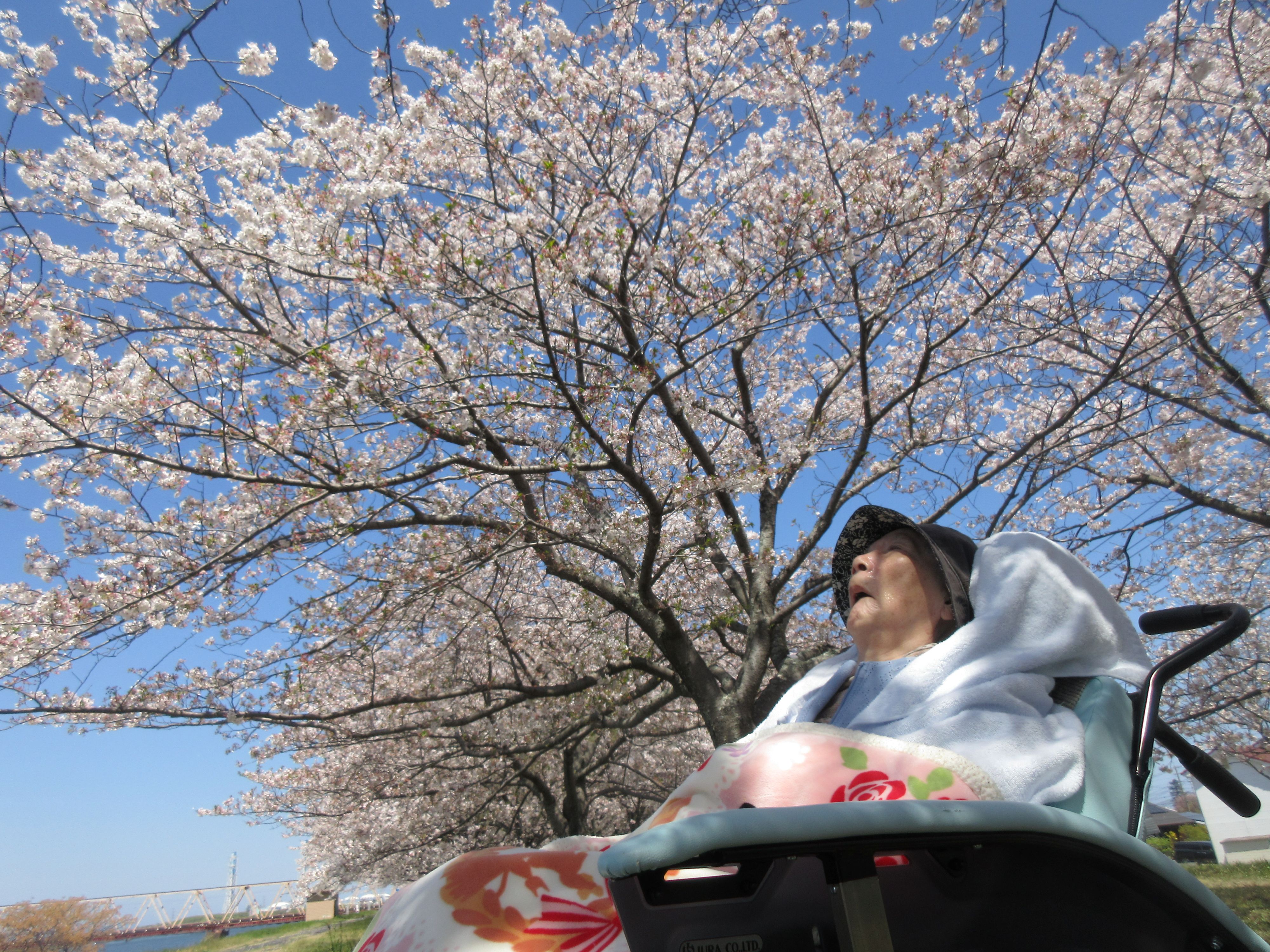 R8.4.8大野川河川敷野原様３ (3)