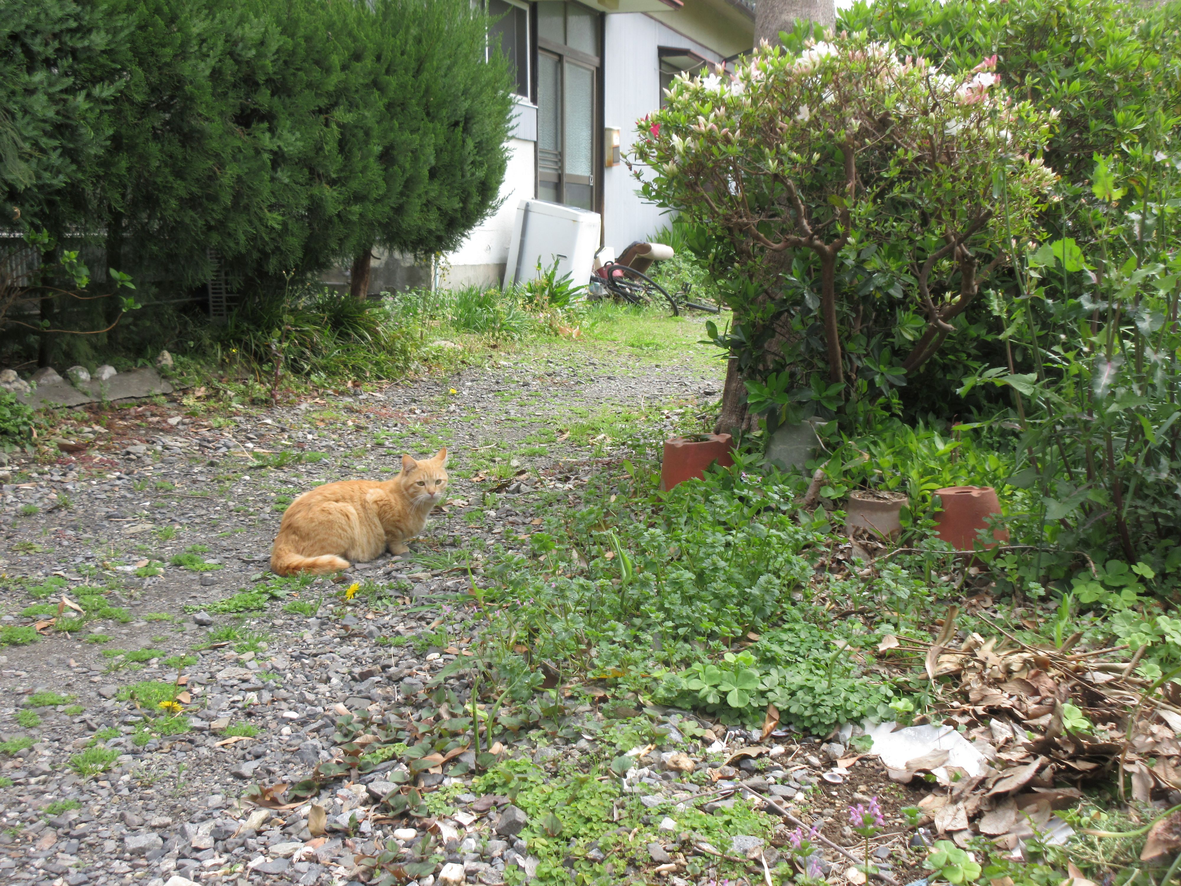 R8.4.6久留嶋様誕生日外出 自宅3