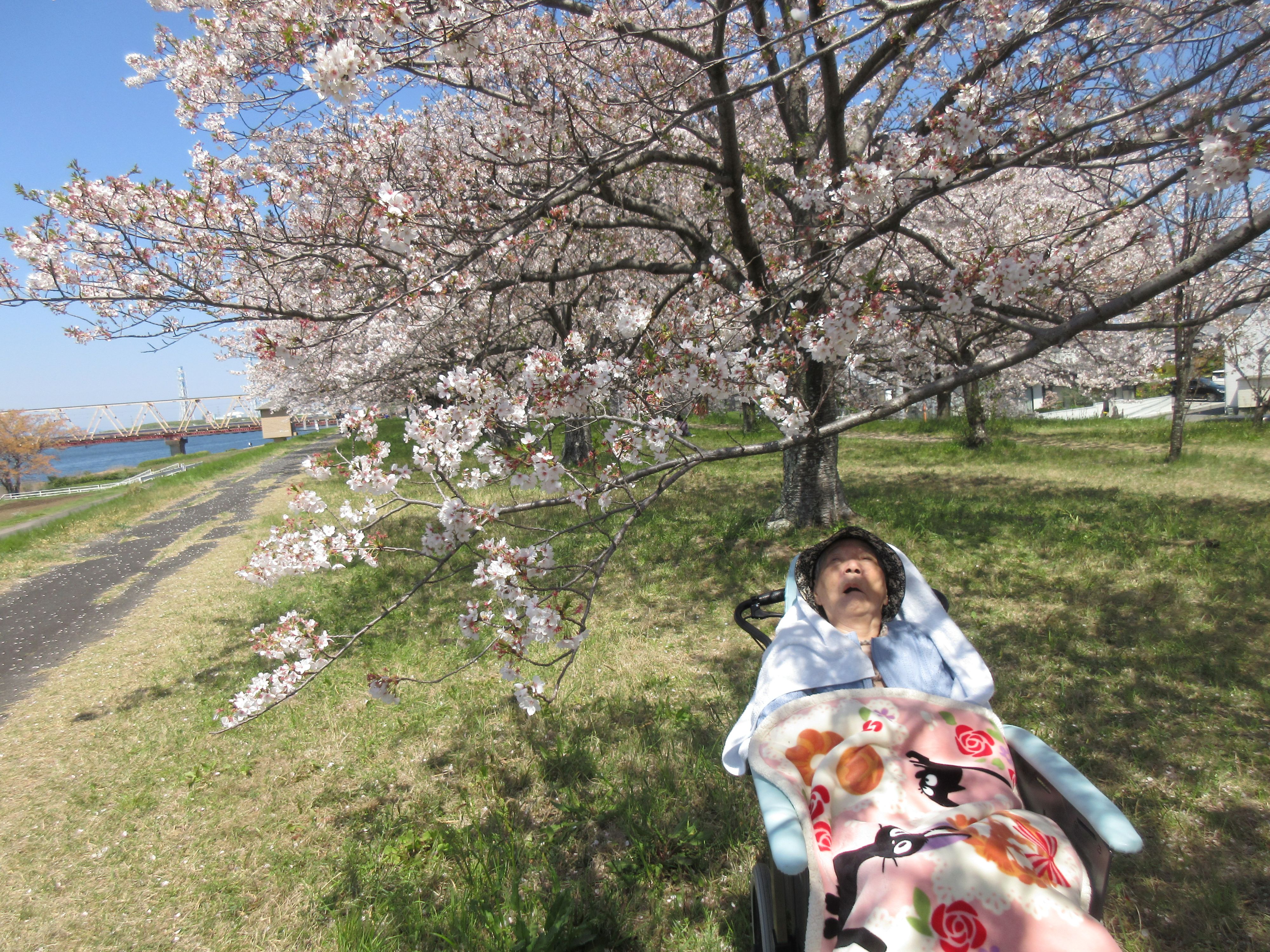 R8.4.8大野川河川敷野原様