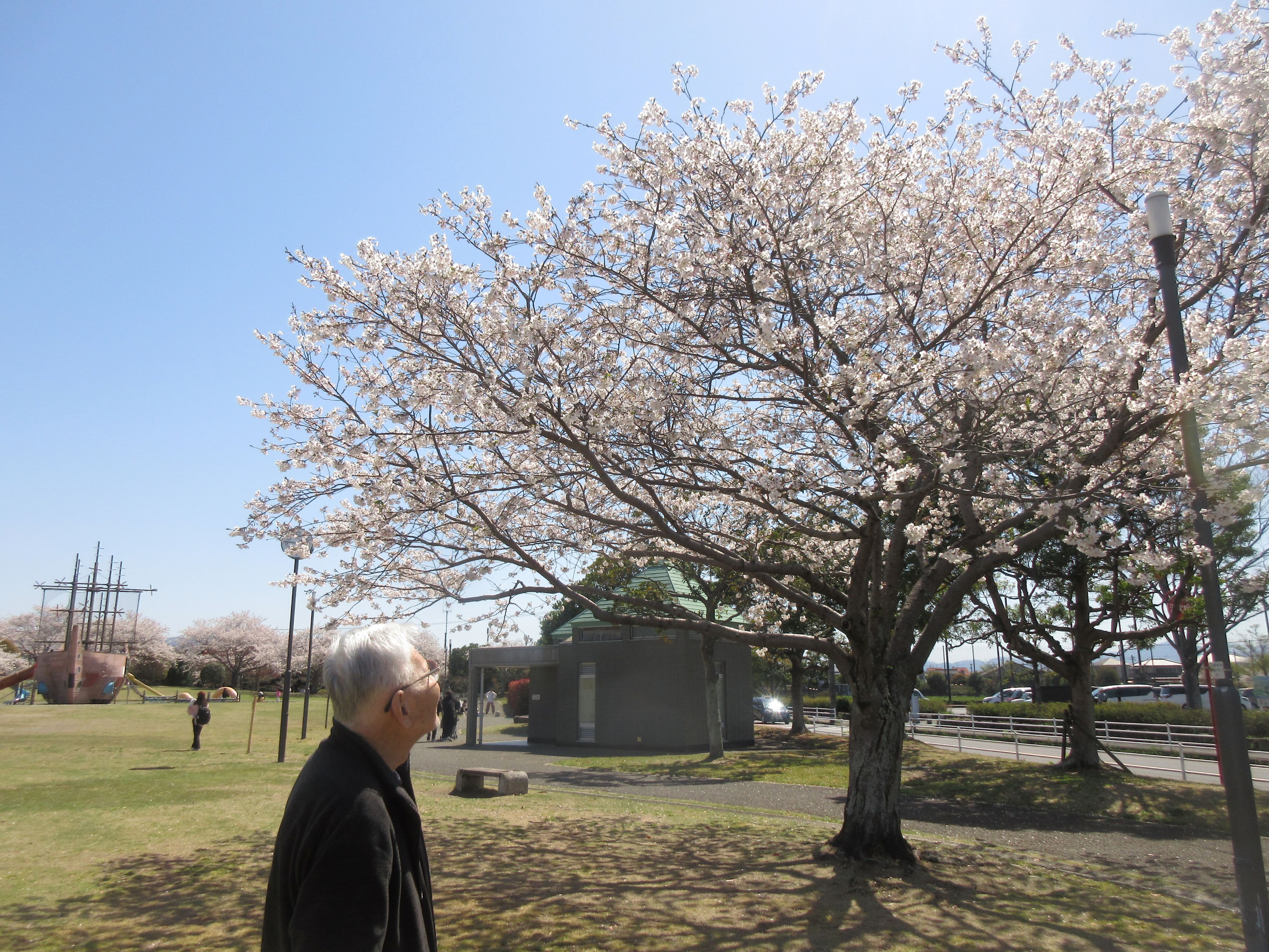 R8.4.8鶴崎スポーツパーク花見藤岡様２