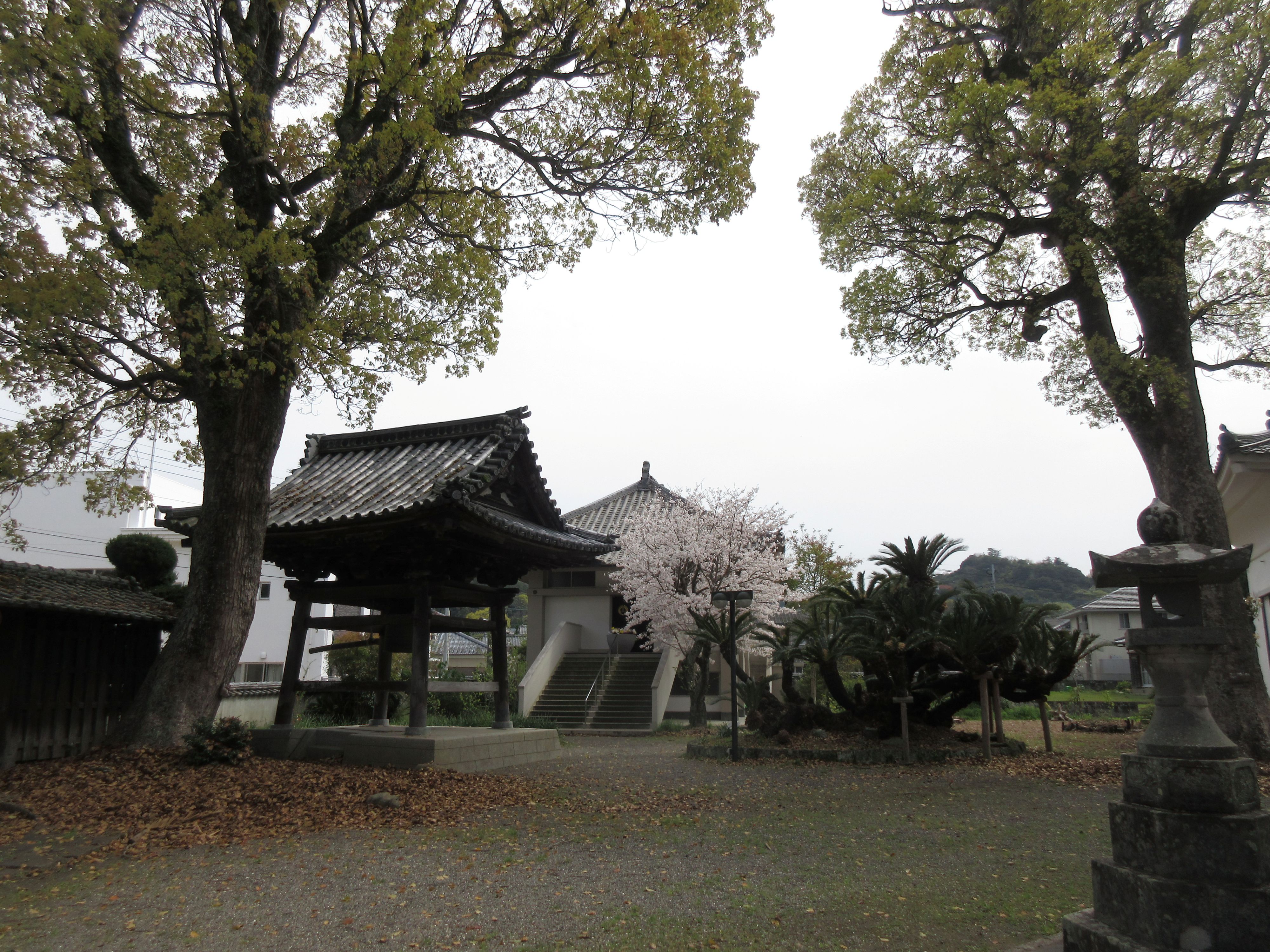 Ｒ8.4.6久留嶋様誕生日外出　教尊寺２